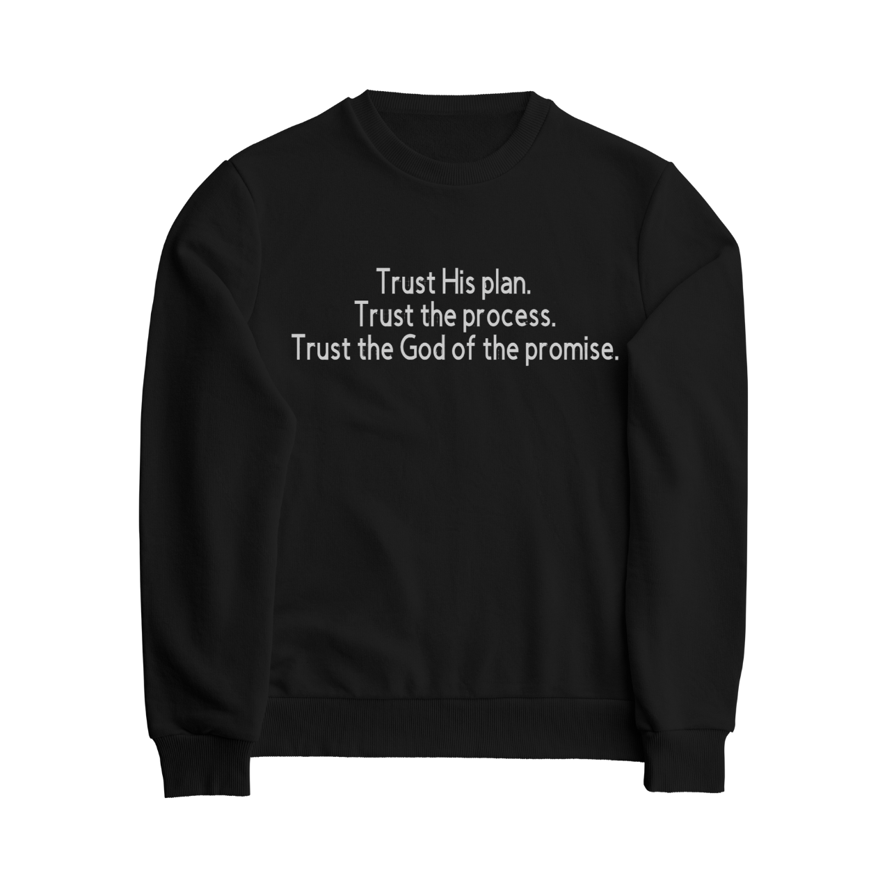 The Plan, Process, and Promise Sweatshirt